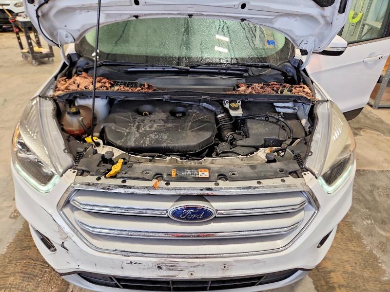 2019 Ford Escape მანქანა იყიდება აუქციონზე, vin: 1FMCU9J90KUA02888, აუქციონის ნომერი: 71235776