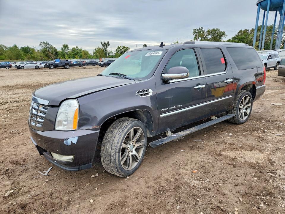 Auction sale of the 2010 Cadillac Escalade, vin: 1GYUKJEF0AR209891, lot number: 70564846