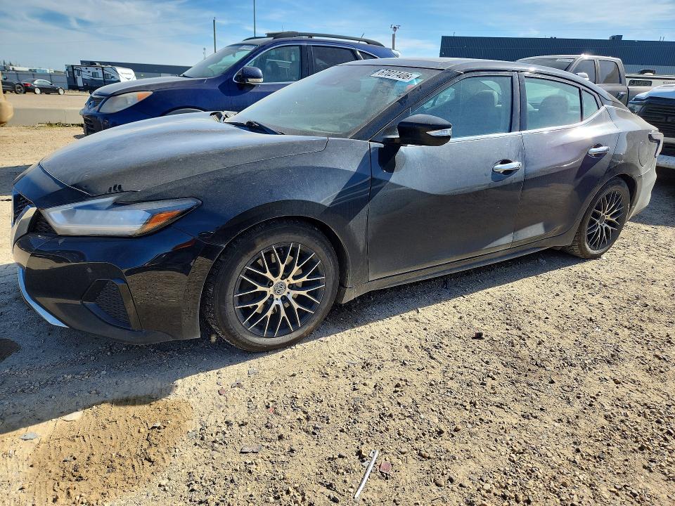 Продажа на аукционе авто 2020 Nissan Maxima, vin: 1N4AA6DV2LC379957, номер лота: 67027406