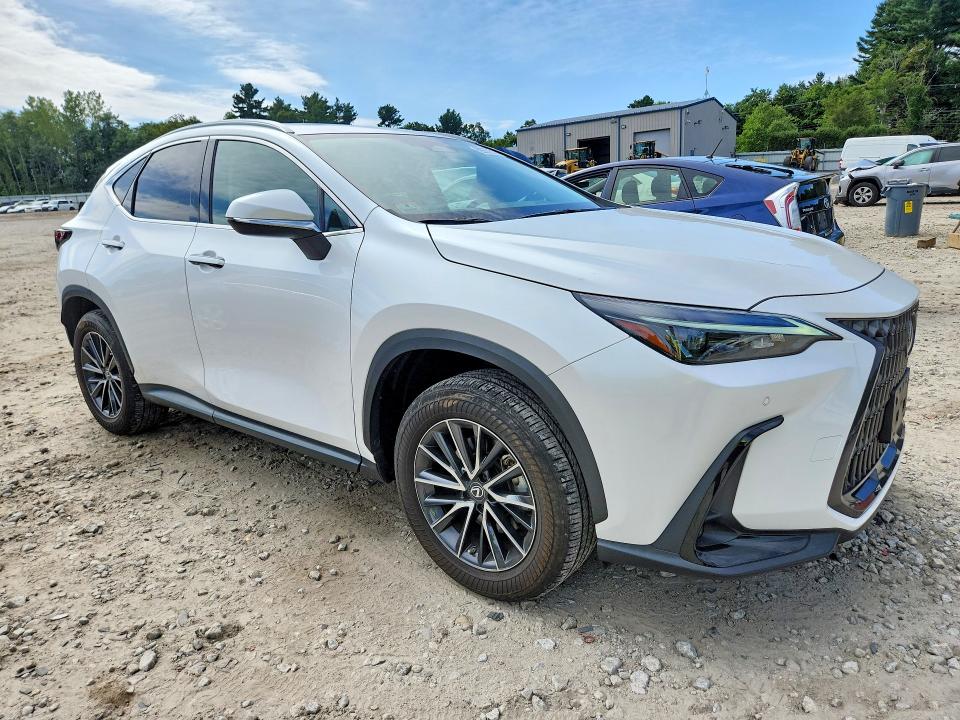 69297896 :رقم المزاد ، 2T2GGCEZ4NC008629 vin ، 2022 Lexus Nx مزاد بيع