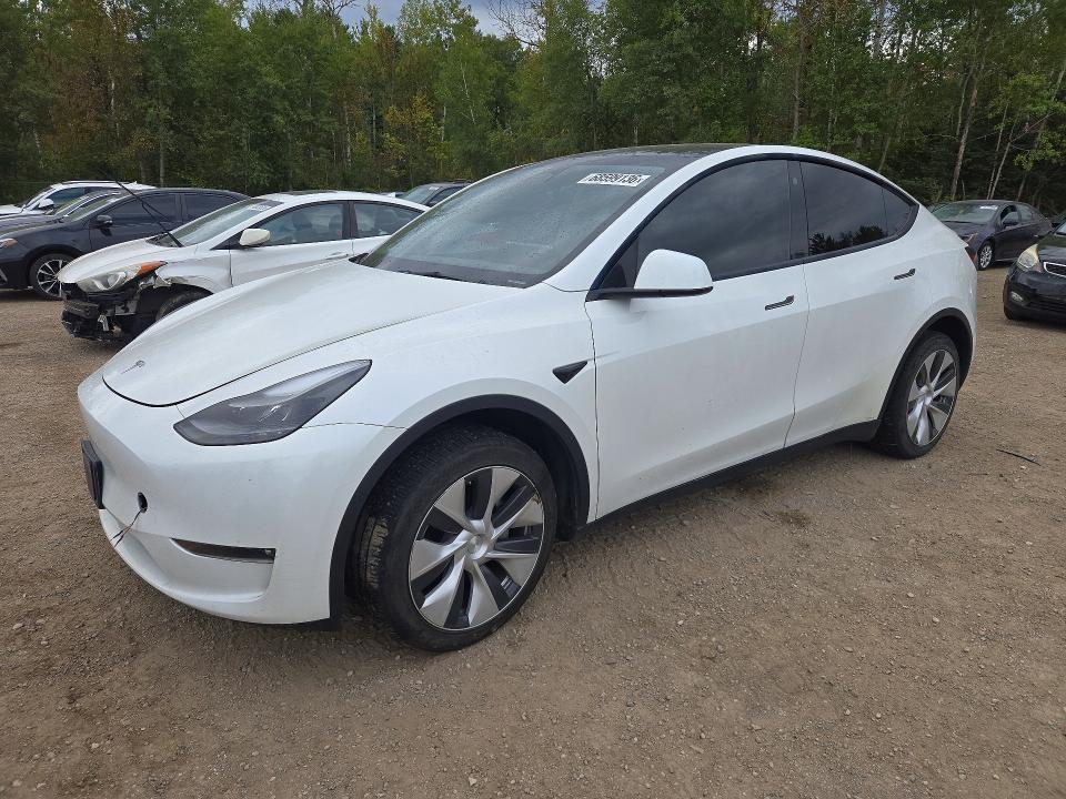 Продажа на аукционе авто 2023 Tesla Model Y, vin: 7SAYGDEE1PF779238, номер лота: 68599136