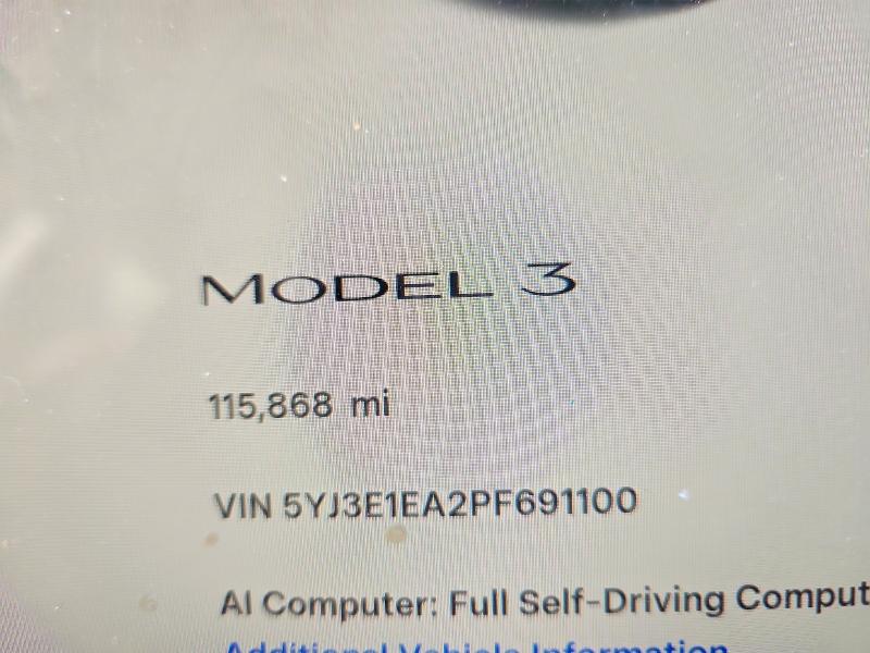 67806156 :رقم المزاد ، 5YJ3E1EA2PF691100 vin ، 2023 Tesla Model 3 مزاد بيع