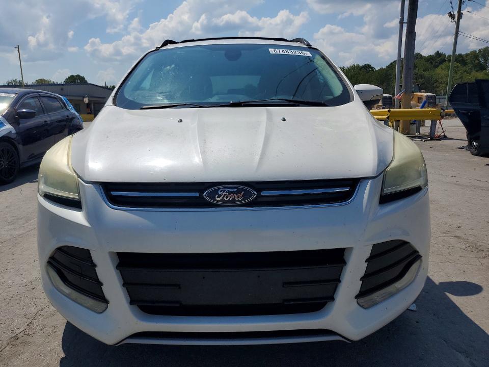 67483236 :رقم المزاد ، 1FMCU0HX5DUB76152 vin ، 2013 Ford Escape مزاد بيع