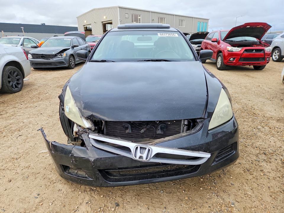 68373656 :رقم المزاد ، 1HGCM56727A808178 vin ، 2007 Honda Accord مزاد بيع