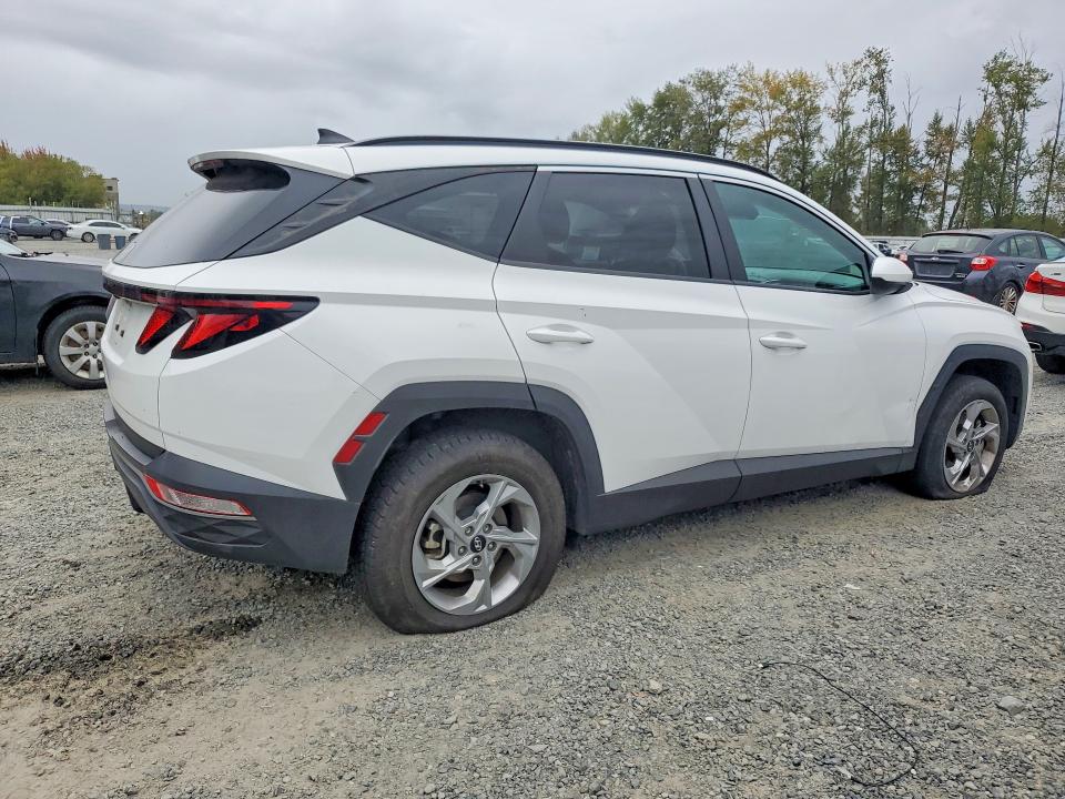 Продаж на аукціоні авто 2024 Hyundai Tucson, vin: 5NMJBCDE0RH298987, номер лоту: 69446616