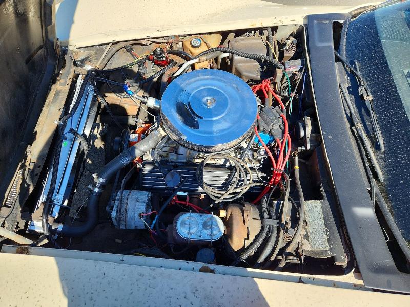 68950316 :رقم المزاد ، 1Z87L8S432258 vin ، 1978 Chevrolet Corvette مزاد بيع