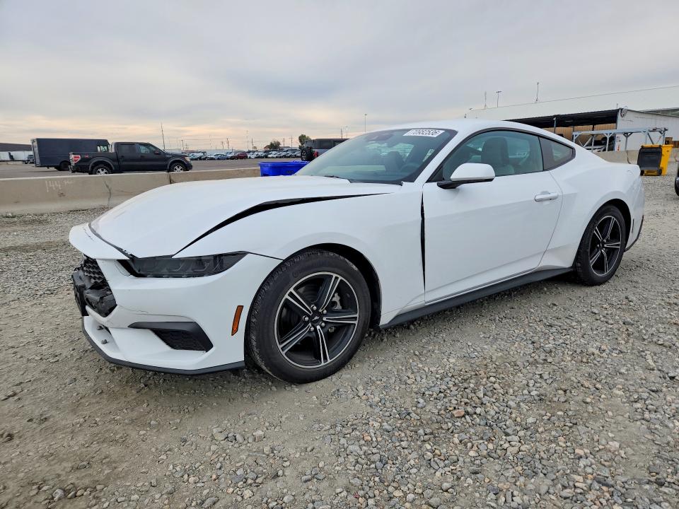70982536 :رقم المزاد ، 1FA6P8TH8S5131260 vin ، 2025 Ford Mustang مزاد بيع