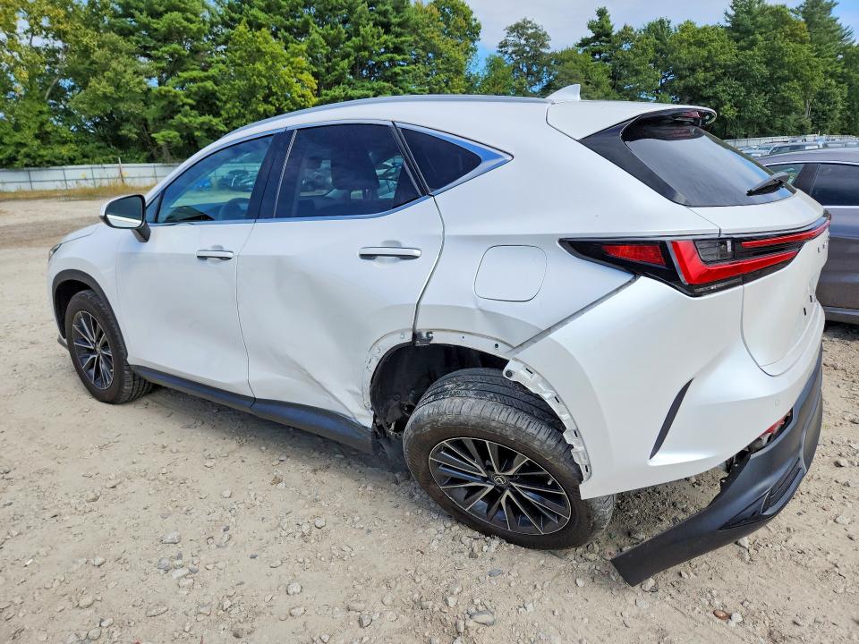 69297896 :رقم المزاد ، 2T2GGCEZ4NC008629 vin ، 2022 Lexus Nx مزاد بيع