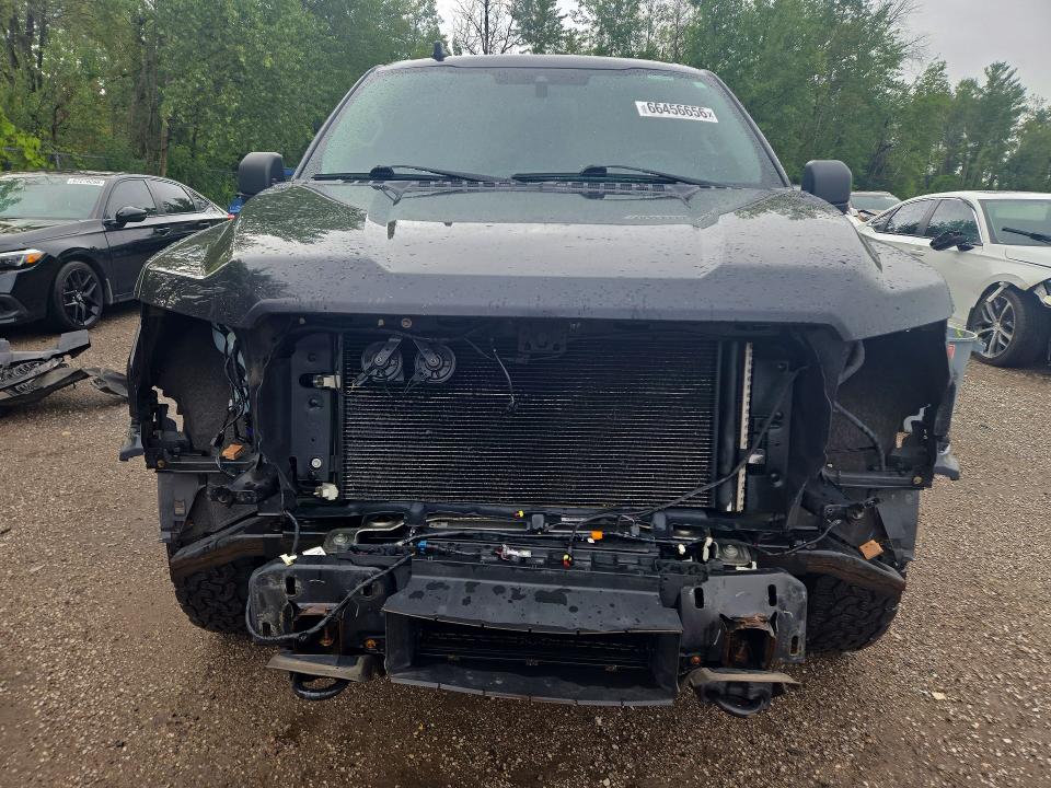 Продаж на аукціоні авто 2019 Ford F150, vin: 1FTEW1EP8KKC25564, номер лоту: 66456656