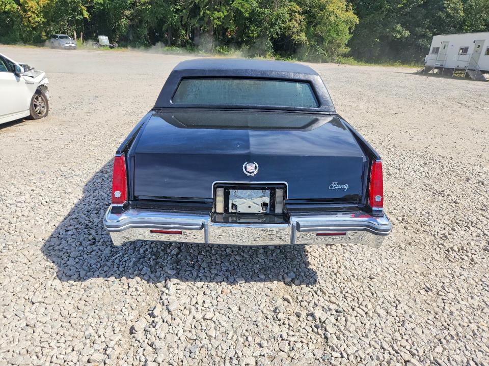68597196 :رقم المزاد ، 1G6AL5797BE618437 vin ، 1981 Cadillac Eldorado مزاد بيع