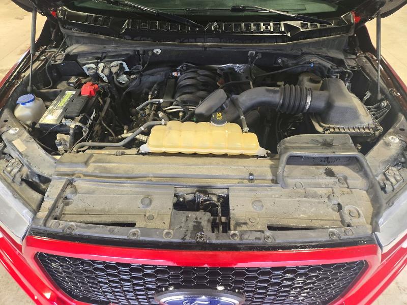 Продаж на аукціоні авто 2019 Ford F150, vin: 1FTEW1E55KFB29513, номер лоту: 69754136