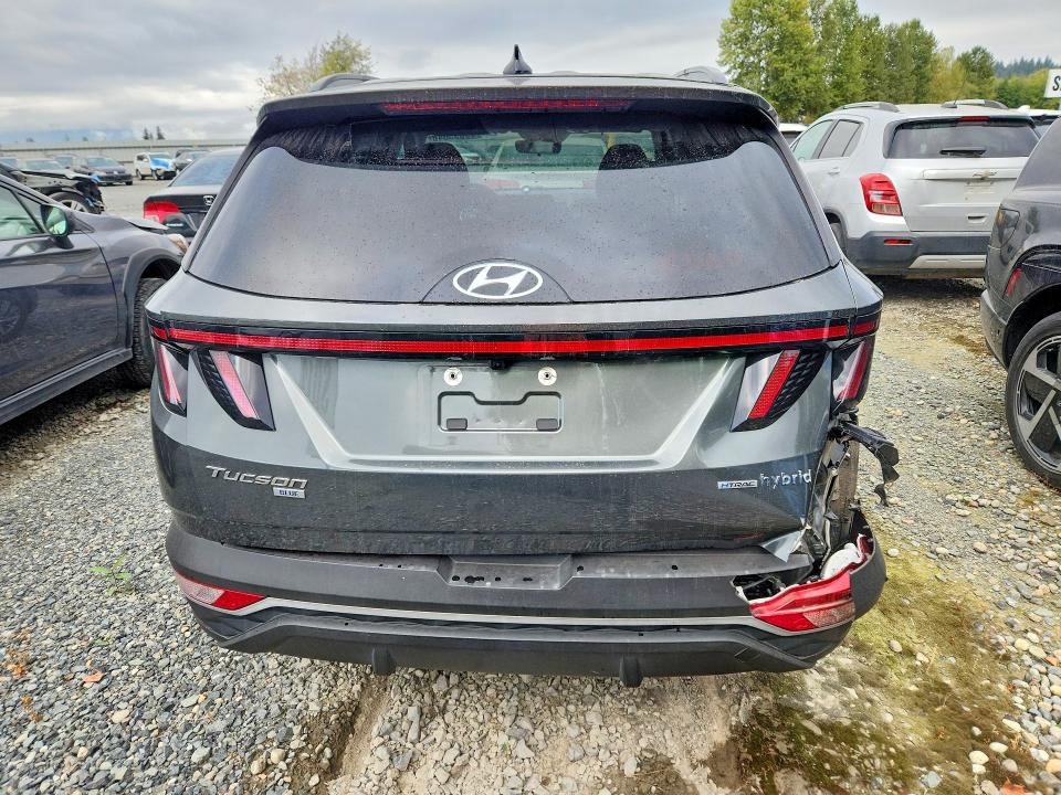 Продажа на аукционе авто 2023 Hyundai Tucson, vin: KM8JBCA13PU111664, номер лота: 69695646