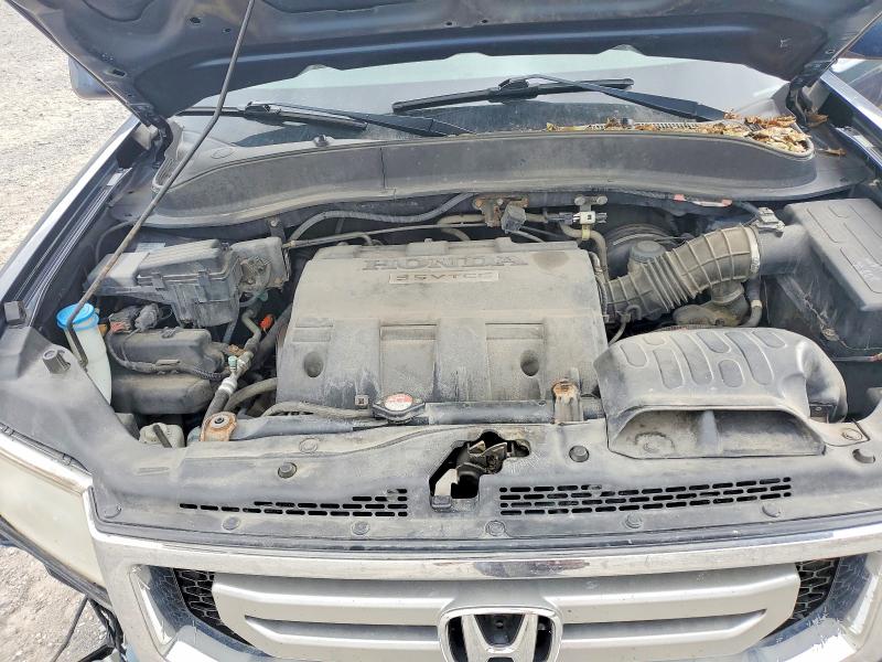 2010 Honda Ridgeline მანქანა იყიდება აუქციონზე, vin: 5FPYK1F5XAB003245, აუქციონის ნომერი: 69775756