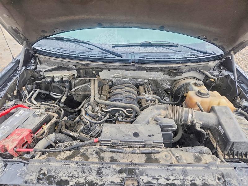 Продаж на аукціоні авто 2013 Ford F150, vin: 1FTFW1CF2DFC20273, номер лоту: 70472806