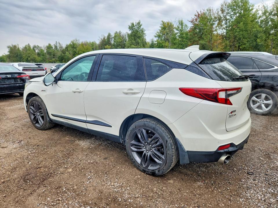 69022886 :رقم المزاد ، 5J8TC2H63KL808113 vin ، 2019 Acura Rdx مزاد بيع