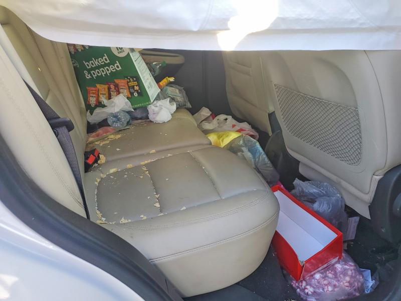 Продажа на аукционе авто 2018 Buick Encore, vin: KL4CJDSB5JB526446, номер лота: 67678886