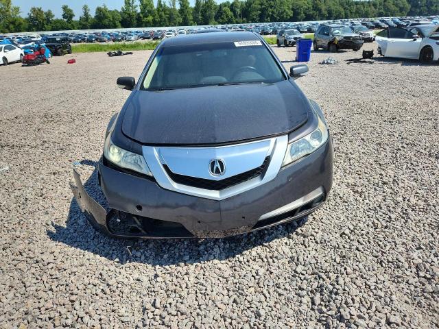 66995686 :رقم المزاد ، 19UUA86579A016608 vin ، 2009 Acura Tl مزاد بيع