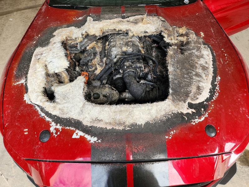 2020 Ford Mustang მანქანა იყიდება აუქციონზე, vin: 1FA6P8SJ8L5505405, აუქციონის ნომერი: 70613746