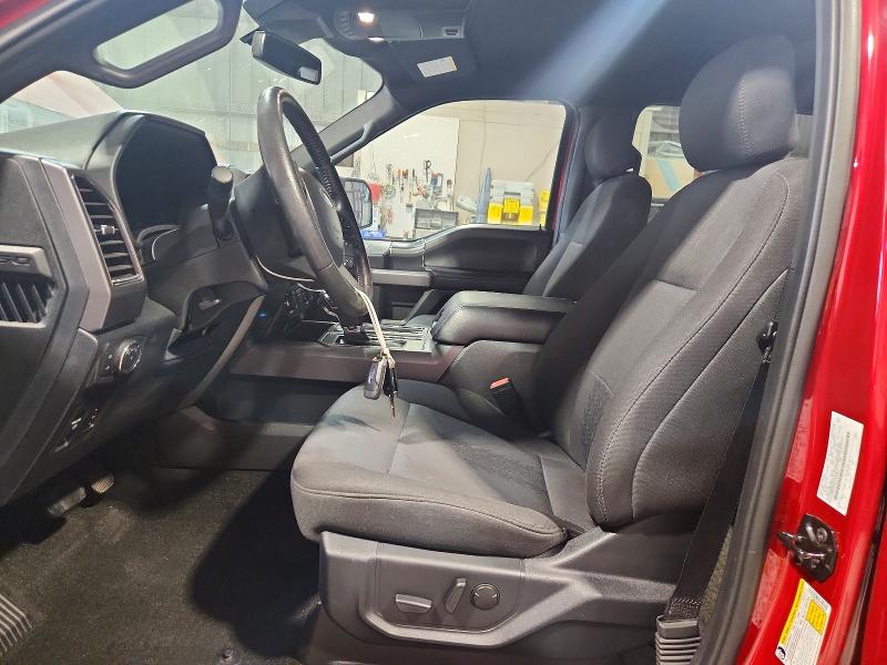 Продаж на аукціоні авто 2020 Ford F150, vin: 1FTEW1EP4LFA56587, номер лоту: 66640496