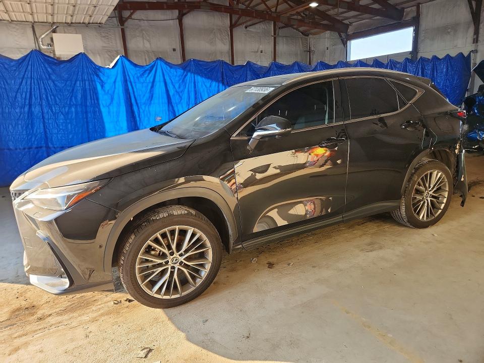 Продаж на аукціоні авто 2024 Lexus Nx 350h, vin: 2T2HKCEZ9RC027282, номер лоту: 67130936