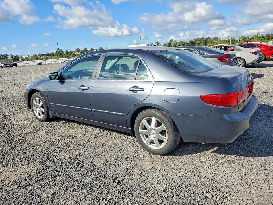 69507316 :رقم المزاد ، 1HGCM66505A801912 vin ، 2005 Honda Accord مزاد بيع