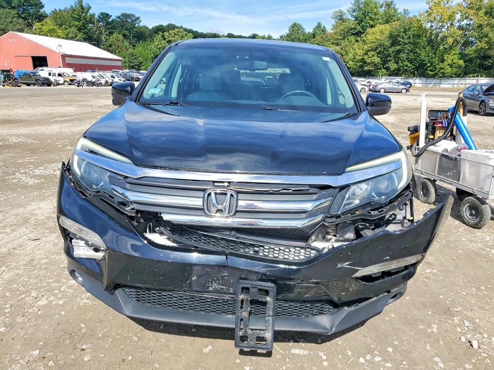 Продаж на аукціоні авто 2016 Honda Pilot, vin: 5FNYF6H56GB039188, номер лоту: 69773116