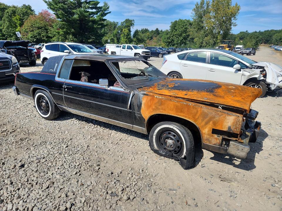 68597196 :رقم المزاد ، 1G6AL5797BE618437 vin ، 1981 Cadillac Eldorado مزاد بيع