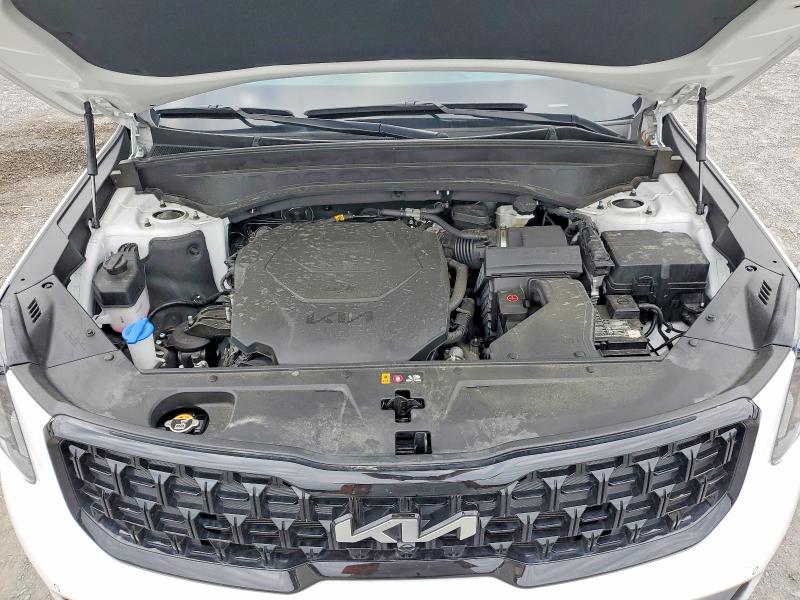 Aukcja sprzedaży 2024 Kia Telluride, vin: 5XYP5DGC5RG507023, numer aukcji: 69458266