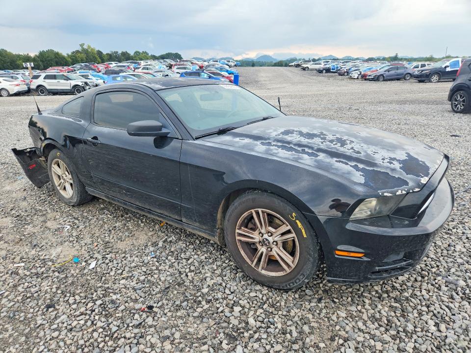 Продаж на аукціоні авто 2014 Ford Mustang, vin: 1ZVBP8AM0E5253377, номер лоту: 69434916