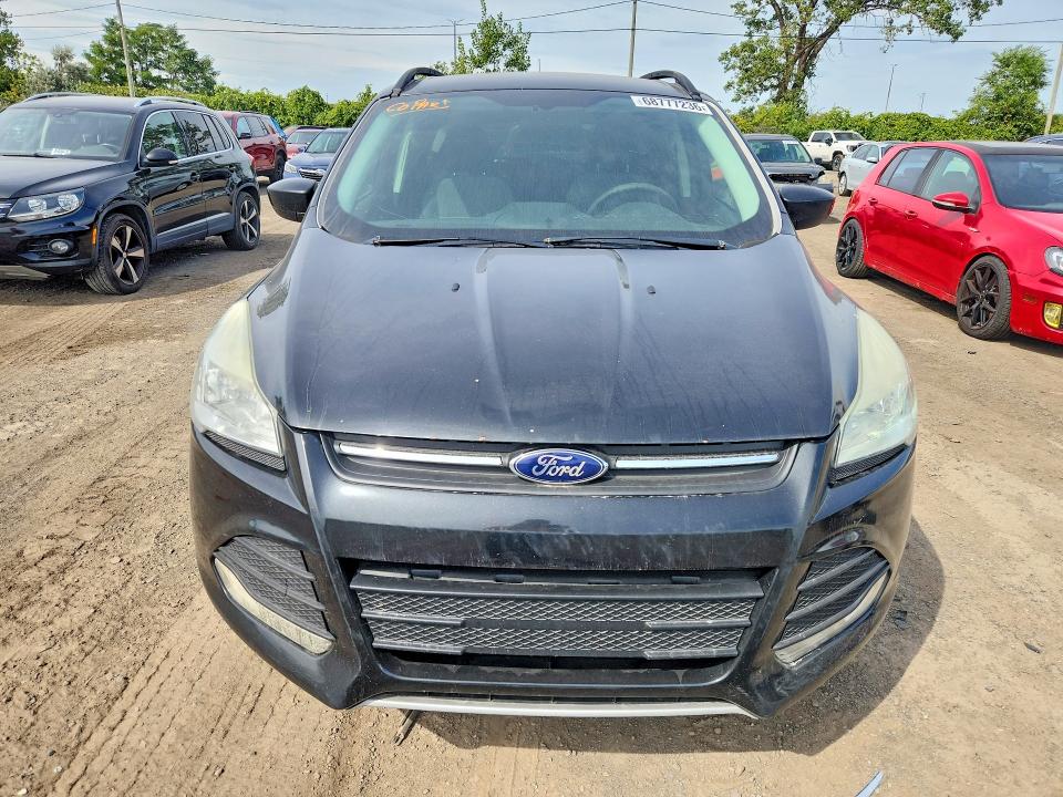 68777236 :رقم المزاد ، 1FMCU0G94EUD96466 vin ، 2014 Ford Escape مزاد بيع