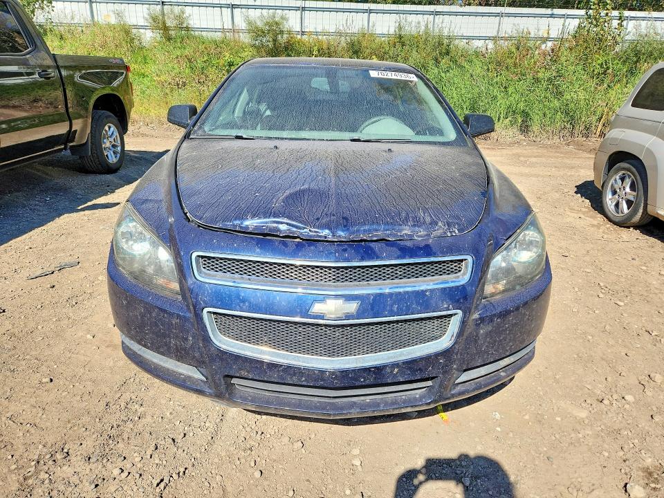 70274936 :رقم المزاد ، 1G1ZG57BX8F233151 vin ، 2008 Chevrolet Malibu مزاد بيع