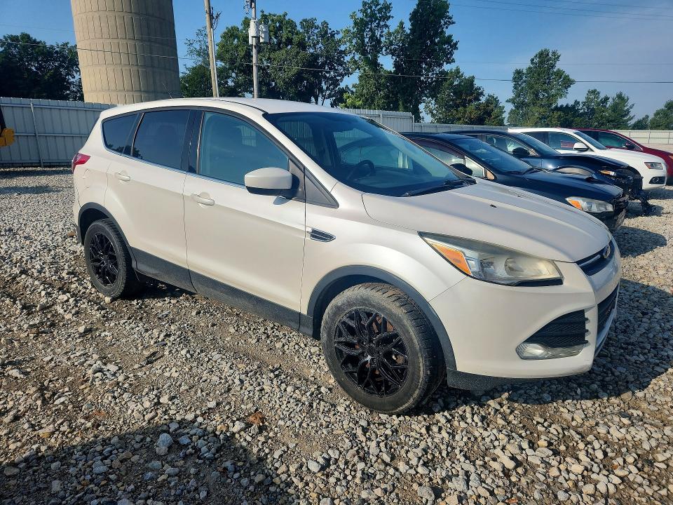 Продаж на аукціоні авто 2013 Ford Escape, vin: 1FMCU9GX9DUD89594, номер лоту: 67386616