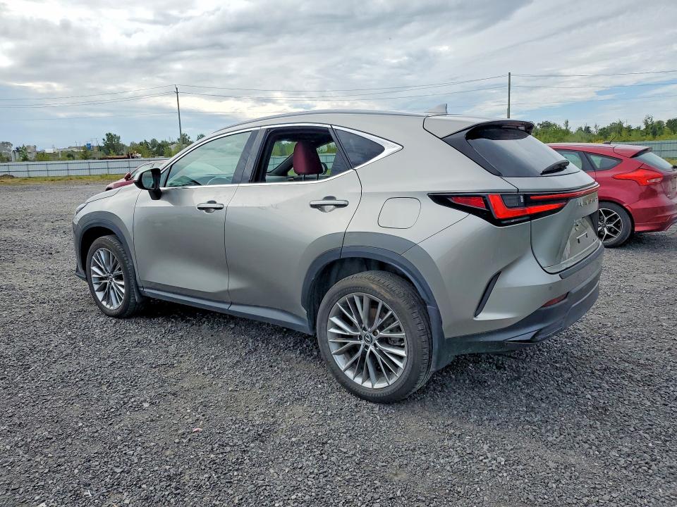 2022 Lexus Nx მანქანა იყიდება აუქციონზე, vin: 2T2GGCEZ7NC003294, აუქციონის ნომერი: 69427046