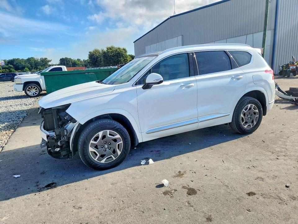 2023 Hyundai Santa Fe მანქანა იყიდება აუქციონზე, vin: 5NMS5DAL3PH558302, აუქციონის ნომერი: 69695696