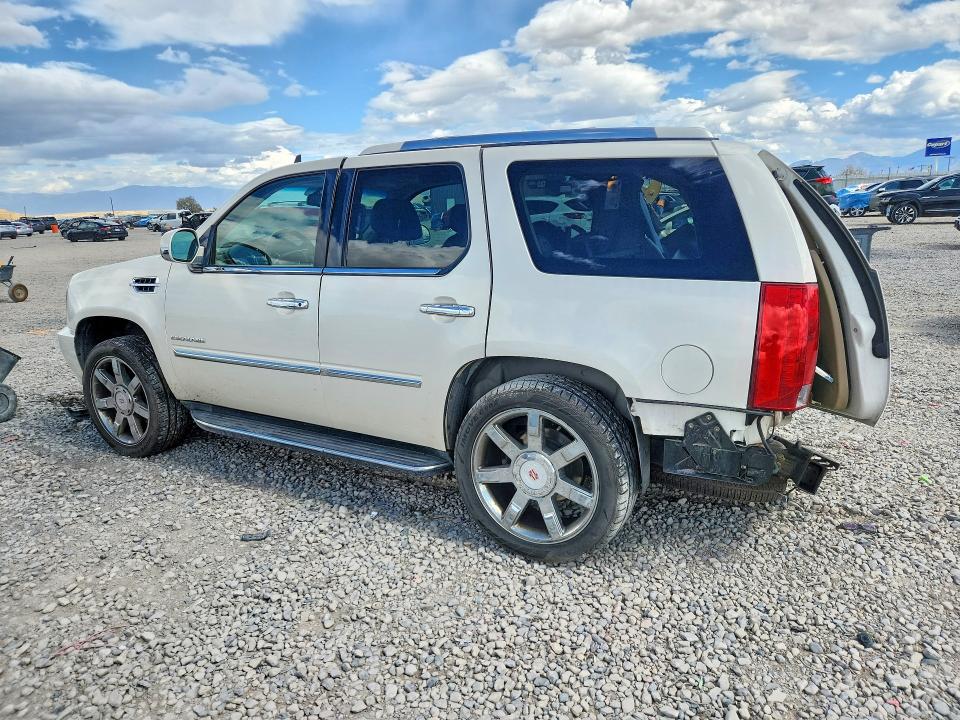 Продаж на аукціоні авто 2011 Cadillac Escalade, vin: 1GYS4BEF0BR347648, номер лоту: 69562816