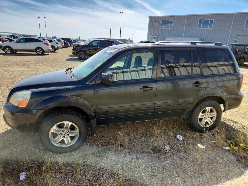 Продаж на аукціоні авто 2005 Honda Pilot, vin: 2HKYF18495H003567, номер лоту: 67066976
