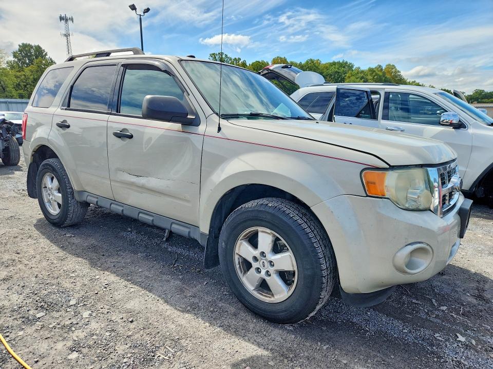 Продаж на аукціоні авто 2009 Ford Escape, vin: 1FMCU93G09KA61487, номер лоту: 69105306