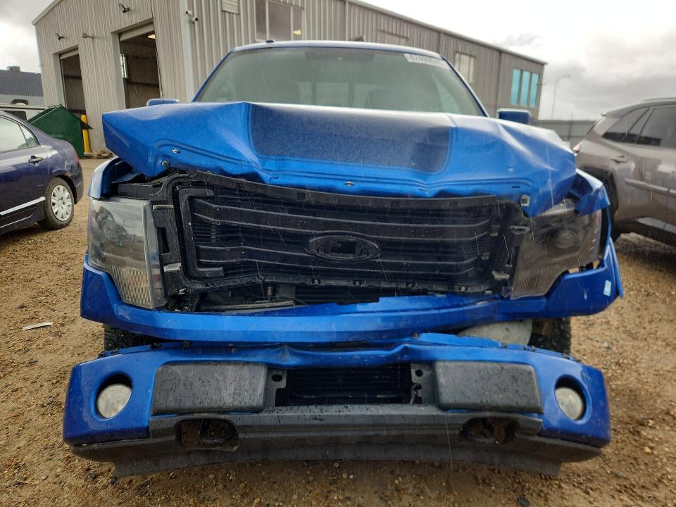 67499046 :رقم المزاد ، 1FTFW1ET3DFD42448 vin ، 2013 Ford F150 مزاد بيع