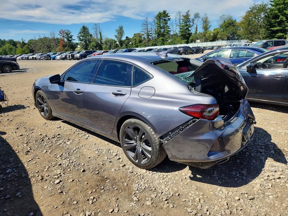 Продажа на аукционе авто 2023 Acura Tlx, vin: 19UUB6F51PA003691, номер лота: 68988036