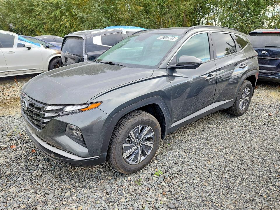 Auction sale of the 2023 Hyundai Tucson, vin: KM8JBCA13PU111664, lot number: 69695646