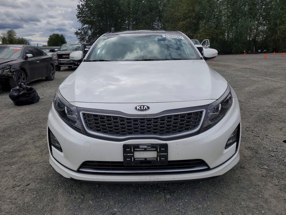 67529346 :رقم المزاد ، KNAGN4AD4G5098548 vin ، 2016 Kia Optima مزاد بيع