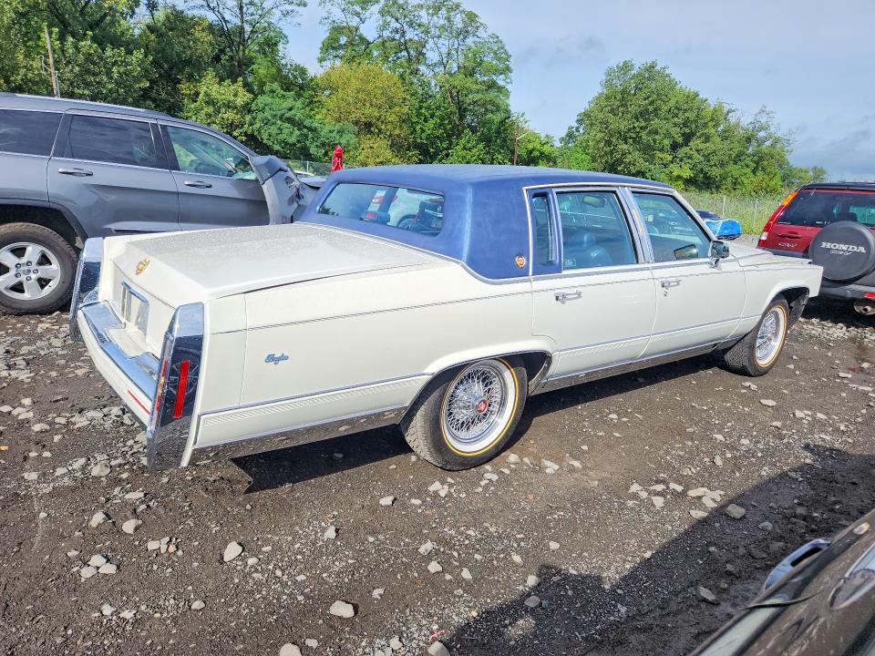 Продаж на аукціоні авто 1991 Cadillac Brougham, vin: 1G6DW5476MR713929, номер лоту: 67200396