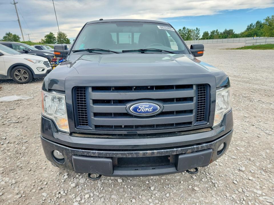 Продаж на аукціоні авто 2010 Ford F150, vin: 1FTFW1EV3AFC61687, номер лоту: 68333806