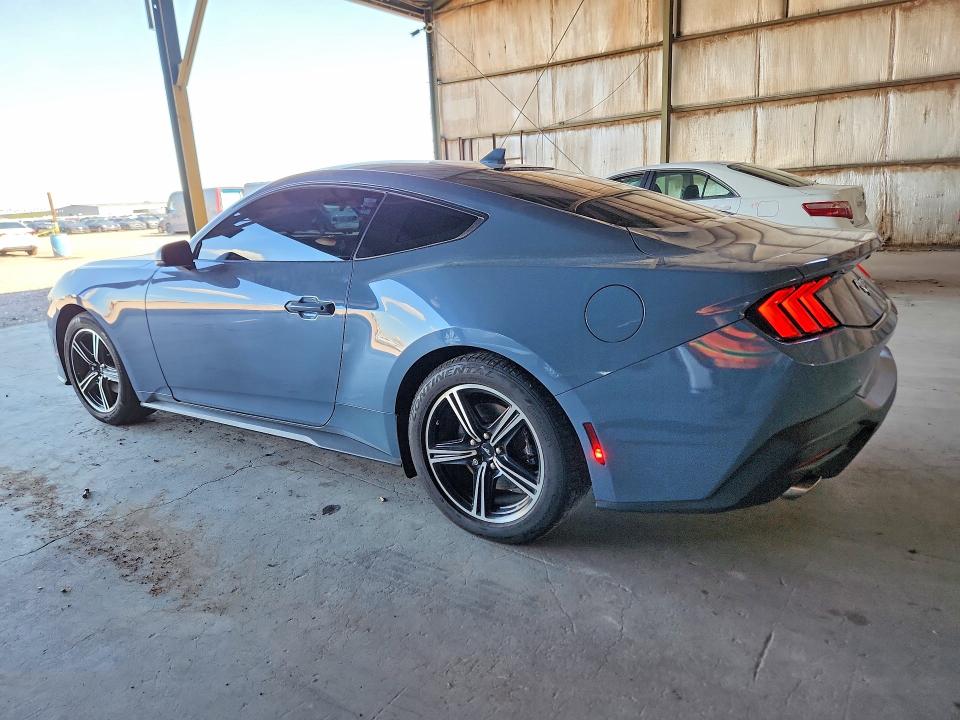 Продаж на аукціоні авто 2024 Ford Mustang, vin: 1FA6P8TH4R5100890, номер лоту: 67493636