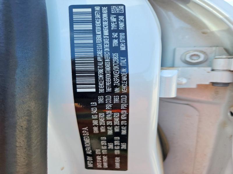69744586 :رقم المزاد ، ZASPAKEV3K7C29835 vin ، 2019 Alfa Romeo Stelvio مزاد بيع