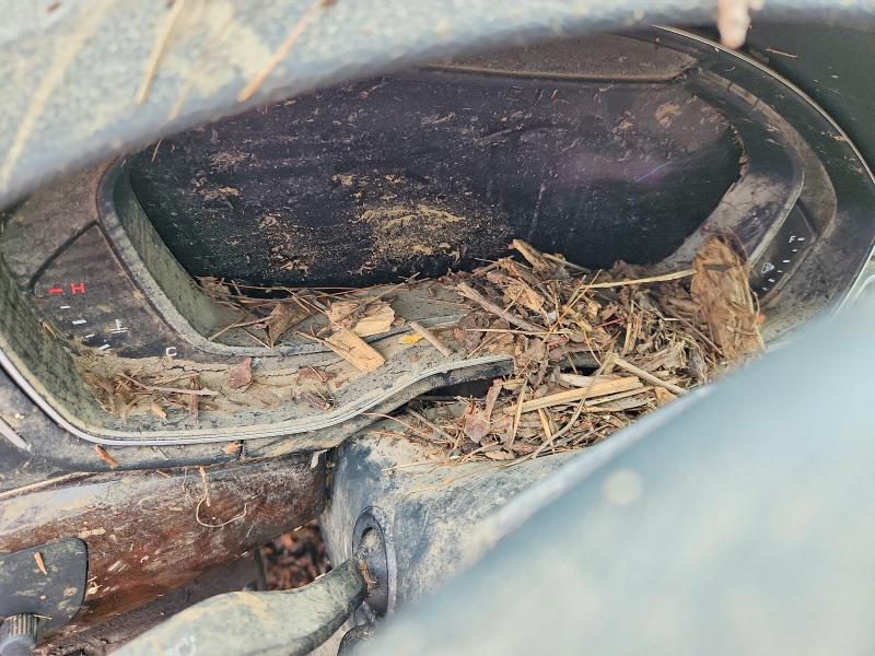 Aukcja sprzedaży 2019 Audi A4, vin: WAUENAF45KN006662, numer aukcji: 69708376