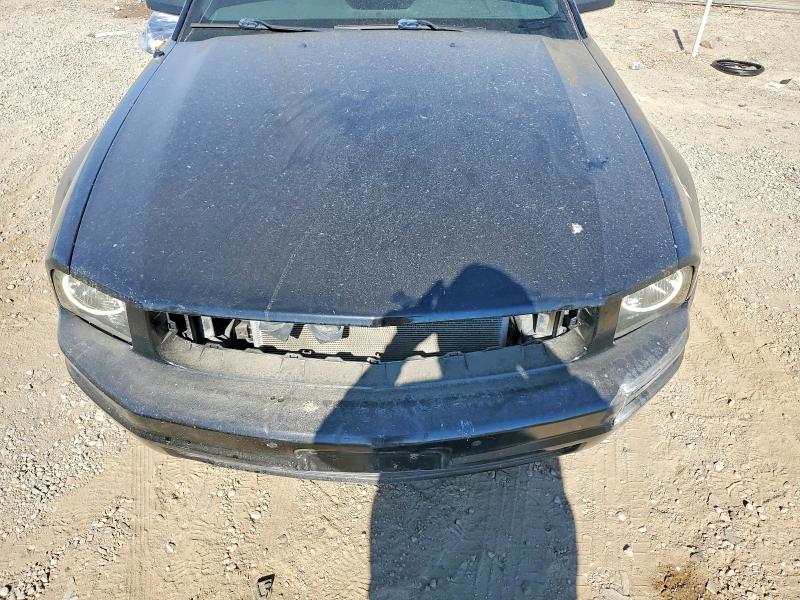 2009 Ford Mustang მანქანა იყიდება აუქციონზე, vin: 1ZVHT80N395132073, აუქციონის ნომერი: 69856986