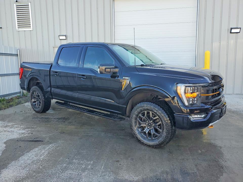 Продаж на аукціоні авто 2022 Ford F150, vin: 1FTEW1E8XNFA32368, номер лоту: 68647906