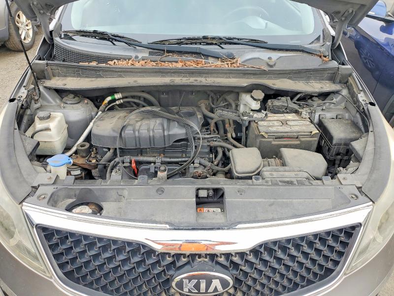 Продаж на аукціоні авто 2016 Kia Sportage, vin: KNDPBCAC2G7802814, номер лоту: 68281146
