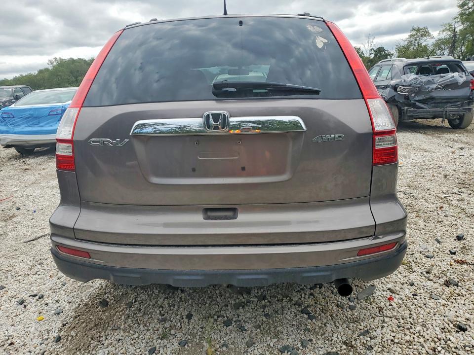 Продажа на аукционе авто 2010 Honda Cr-v, vin: 5J6RE4H53AL078654, номер лота: 69549396